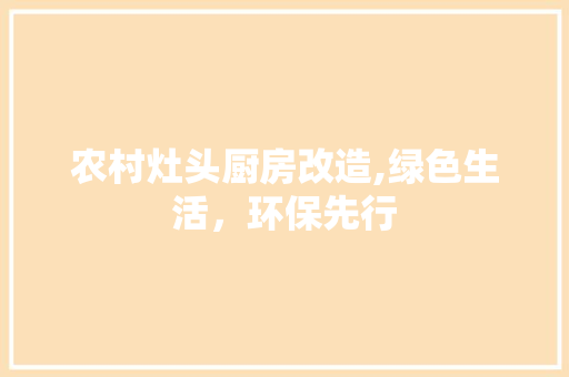 农村灶头厨房改造,绿色生活，环保先行