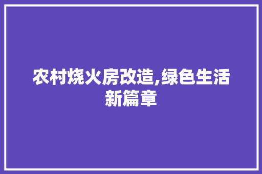 农村烧火房改造,绿色生活新篇章