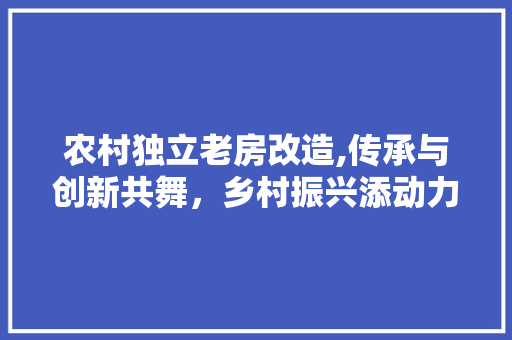农村独立老房改造,传承与创新共舞，乡村振兴添动力