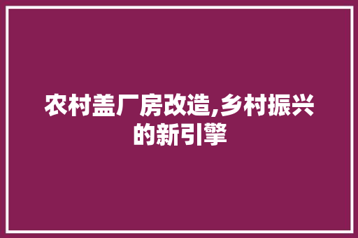 农村盖厂房改造,乡村振兴的新引擎