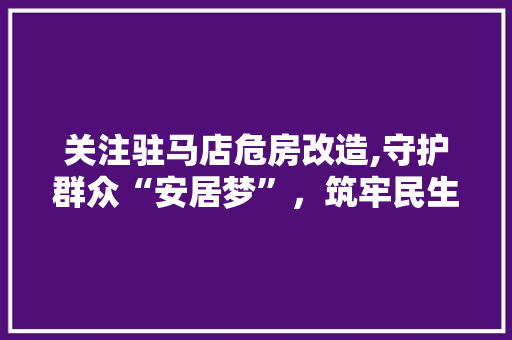 关注驻马店危房改造,守护群众“安居梦”，筑牢民生底线