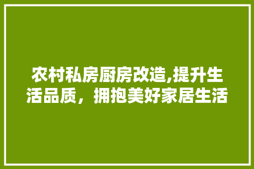 农村私房厨房改造,提升生活品质，拥抱美好家居生活