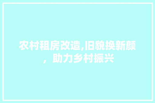 农村租房改造,旧貌换新颜，助力乡村振兴