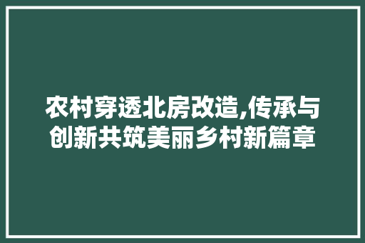 农村穿透北房改造,传承与创新共筑美丽乡村新篇章