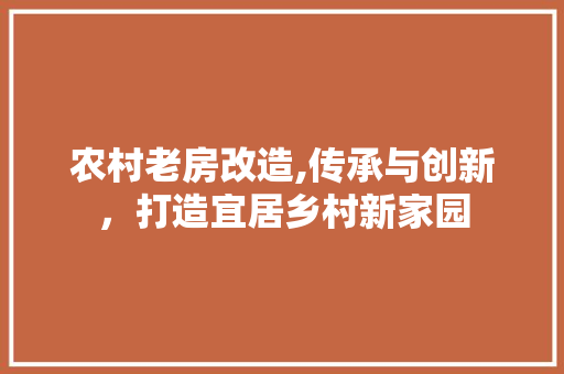农村老房改造,传承与创新，打造宜居乡村新家园
