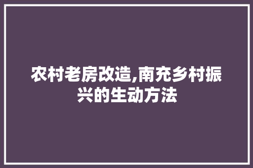 农村老房改造,南充乡村振兴的生动方法