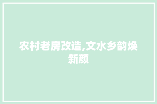 农村老房改造,文水乡韵焕新颜