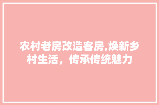 农村老房改造客房,焕新乡村生活，传承传统魅力