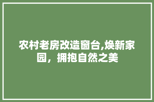 农村老房改造窗台,焕新家园，拥抱自然之美