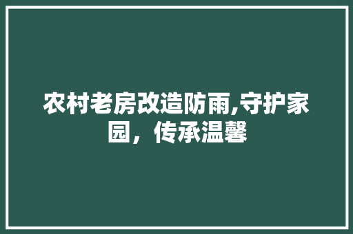 农村老房改造防雨,守护家园，传承温馨