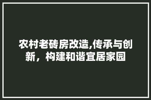 农村老砖房改造,传承与创新，构建和谐宜居家园