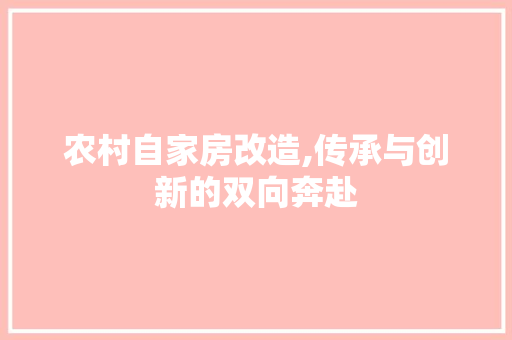 农村自家房改造,传承与创新的双向奔赴