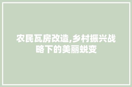 农民瓦房改造,乡村振兴战略下的美丽蜕变