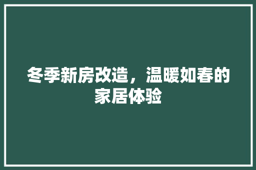 冬季新房改造，温暖如春的家居体验