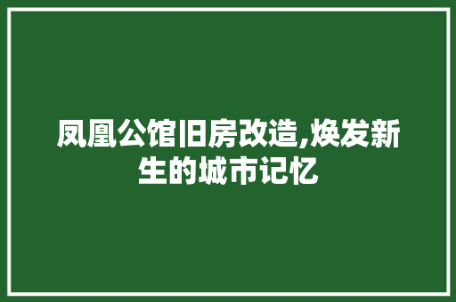 凤凰公馆旧房改造,焕发新生的城市记忆