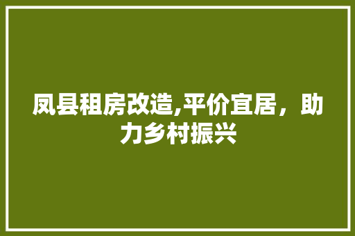 凤县租房改造,平价宜居，助力乡村振兴