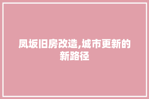 凤坂旧房改造,城市更新的新路径