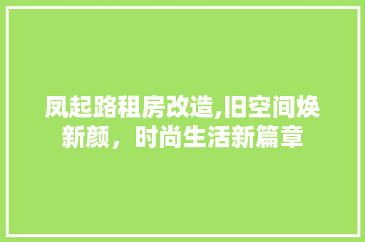 凤起路租房改造,旧空间焕新颜，时尚生活新篇章