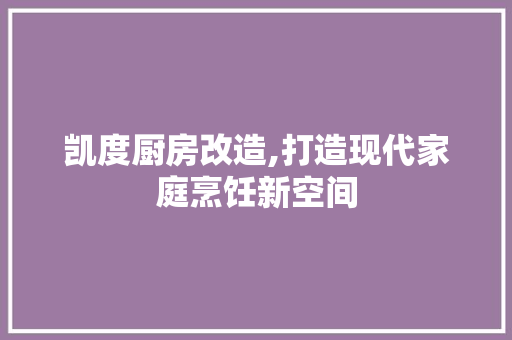 凯度厨房改造,打造现代家庭烹饪新空间