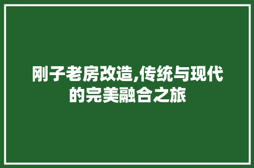 刚子老房改造,传统与现代的完美融合之旅