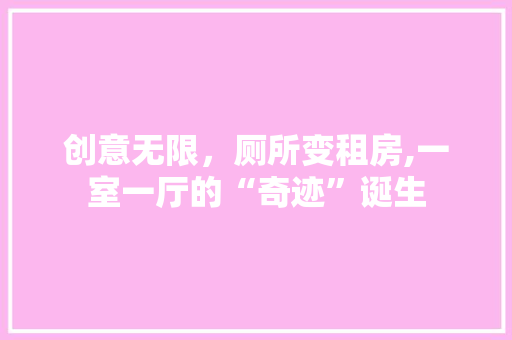 创意无限，厕所变租房,一室一厅的“奇迹”诞生