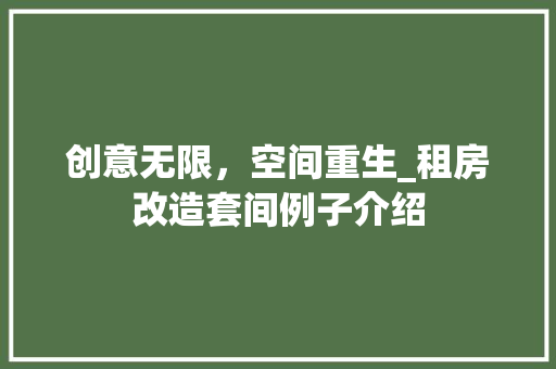 创意无限，空间重生_租房改造套间例子介绍