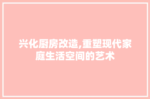 兴化厨房改造,重塑现代家庭生活空间的艺术