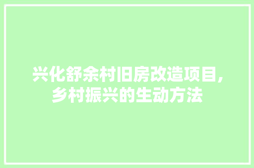 兴化舒余村旧房改造项目,乡村振兴的生动方法 庭院装修