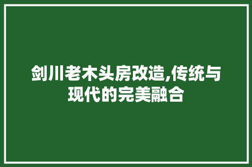 剑川老木头房改造,传统与现代的完美融合