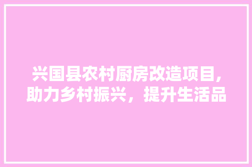 兴国县农村厨房改造项目,助力乡村振兴，提升生活品质