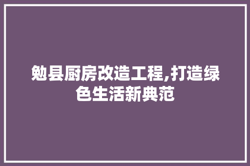 勉县厨房改造工程,打造绿色生活新典范