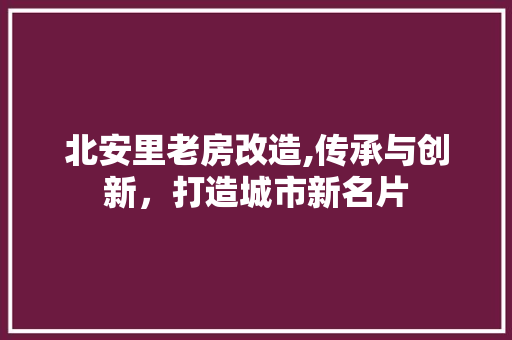 北安里老房改造,传承与创新，打造城市新名片 庭院装修