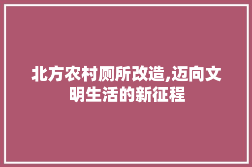 北方农村厕所改造,迈向文明生活的新征程
