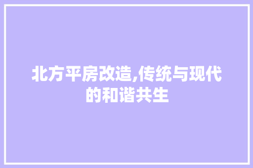 北方平房改造,传统与现代的和谐共生