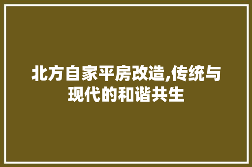 北方自家平房改造,传统与现代的和谐共生