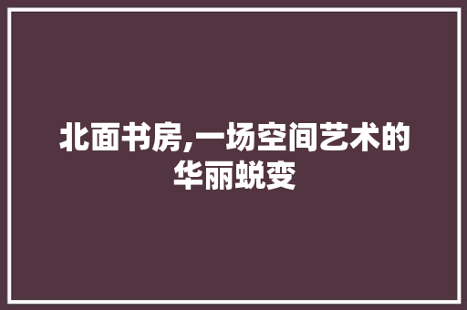北面书房,一场空间艺术的华丽蜕变