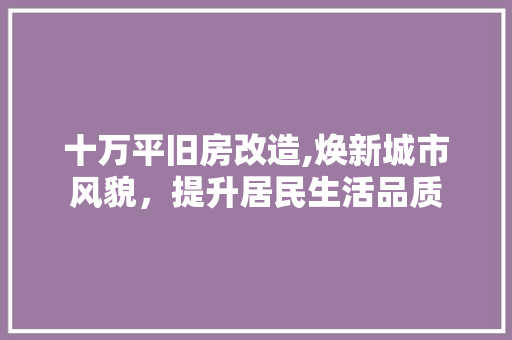 十万平旧房改造,焕新城市风貌，提升居民生活品质
