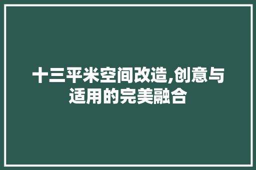 十三平米空间改造,创意与适用的完美融合