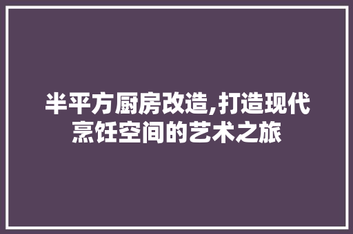 半平方厨房改造,打造现代烹饪空间的艺术之旅