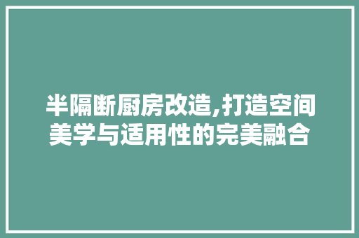 半隔断厨房改造,打造空间美学与适用性的完美融合