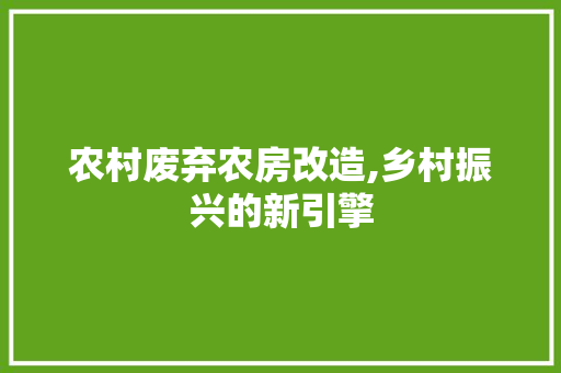 农村废弃农房改造,乡村振兴的新引擎
