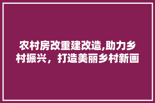 农村房改重建改造,助力乡村振兴，打造美丽乡村新画卷