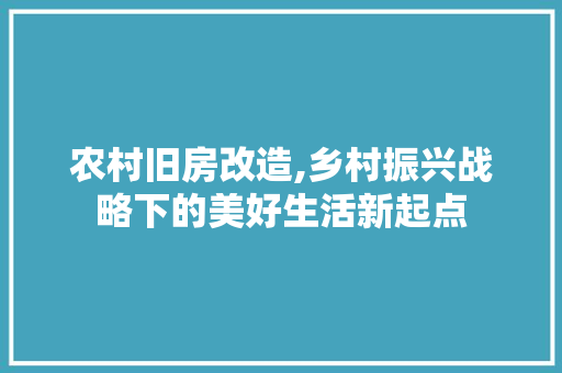 农村旧房改造,乡村振兴战略下的美好生活新起点 地面装修