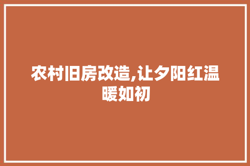农村旧房改造,让夕阳红温暖如初