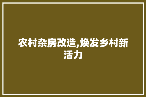 农村杂房改造,焕发乡村新活力