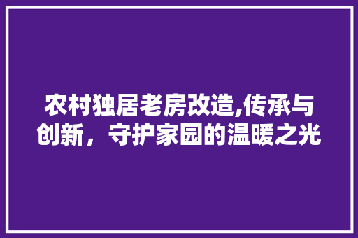农村独居老房改造,传承与创新，守护家园的温暖之光