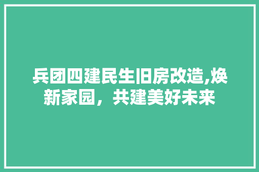 兵团四建民生旧房改造,焕新家园，共建美好未来