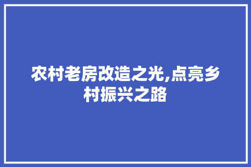 农村老房改造之光,点亮乡村振兴之路