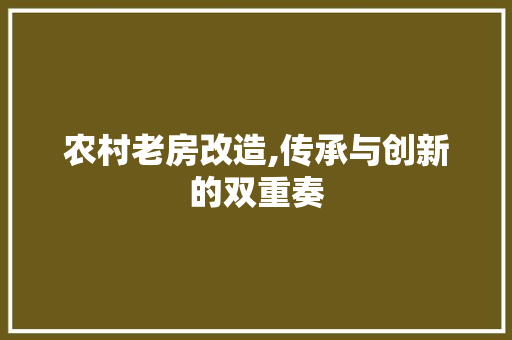农村老房改造,传承与创新的双重奏