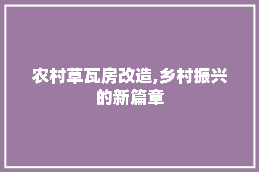 农村草瓦房改造,乡村振兴的新篇章